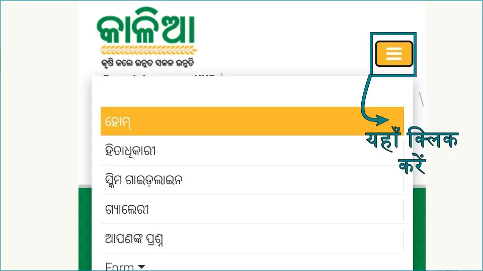 Step 2: How to check Kalia Yojana New List 2024 online?